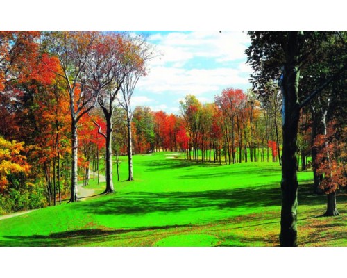 Desk Calendar DC22